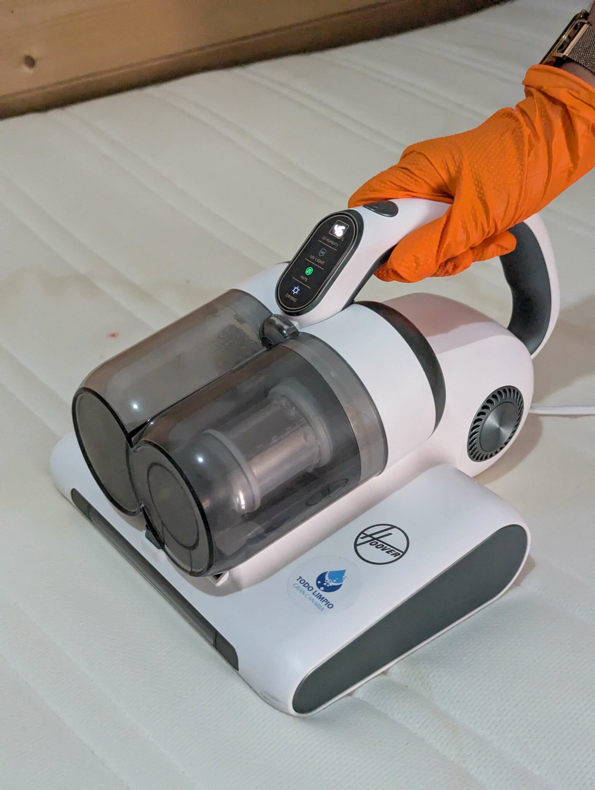 todo limpio gran canaria