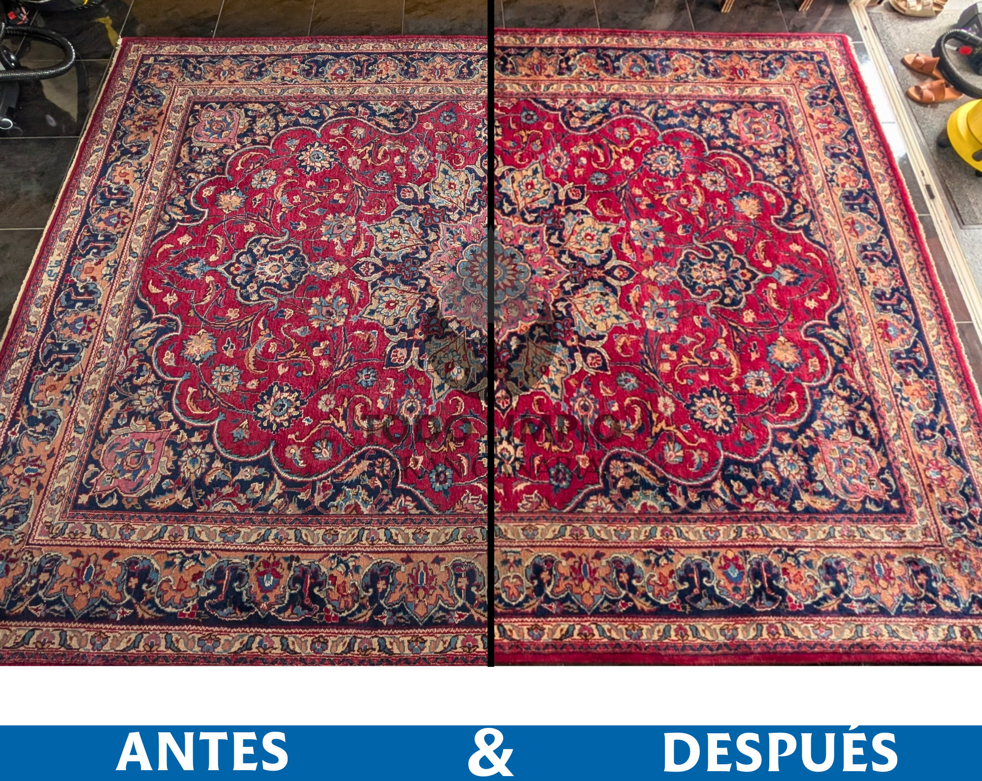 errores al limpiar alfombras